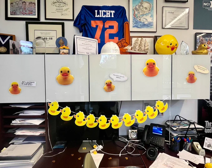 Ducks adorn Dr. Licht's desk.