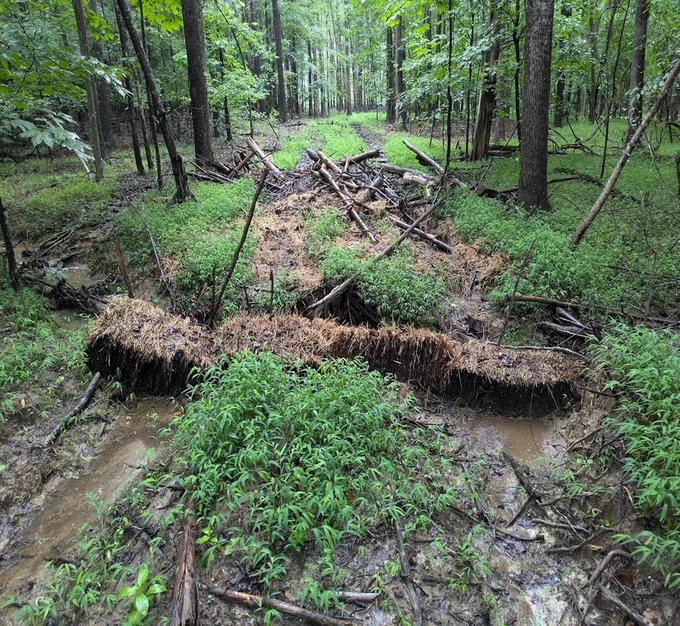 In this photo, straw bales were placed at the edge of a stream crossing to slow and filter sediment laden runoff. Runoff ponded behind the bales and some sediment settled out of suspension. As the ponded area grew, runoff skirted around the side of the straw bale. This situation now has limited BMP effectiveness.