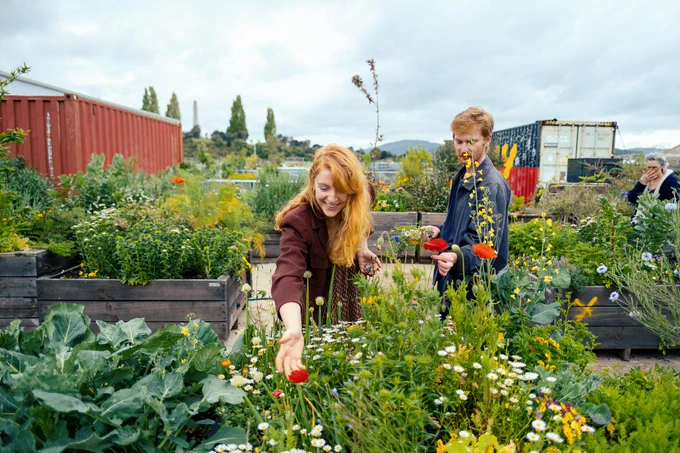 Two people harvesting from a garden