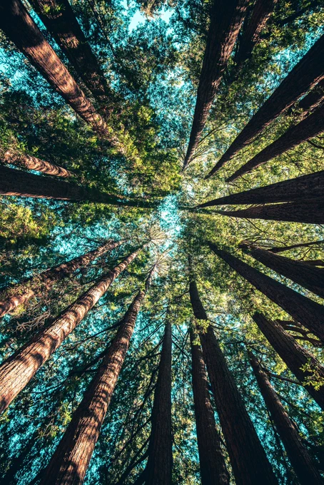 Photography by Casey Horner