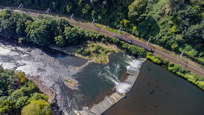 The River Taff from above, with rushing water above Radyr Weir in Cardiff, and still water below. A train runs alongside it, and shadows in the water suggest a dozen or two fish. 