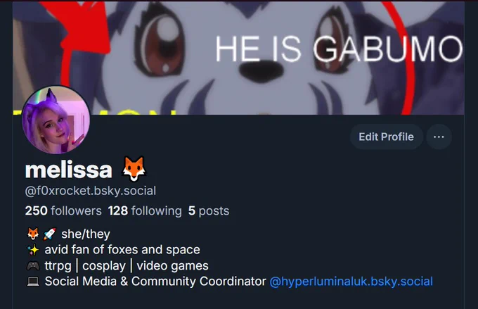 screenshot of melissa's blue sky profile