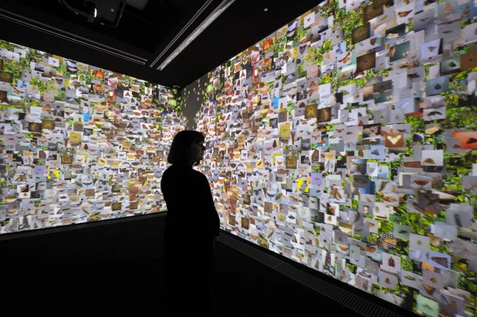 Person looking at digital screen covered in images in a dark room 
