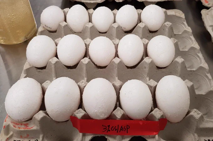 Eggs coated in chitosan