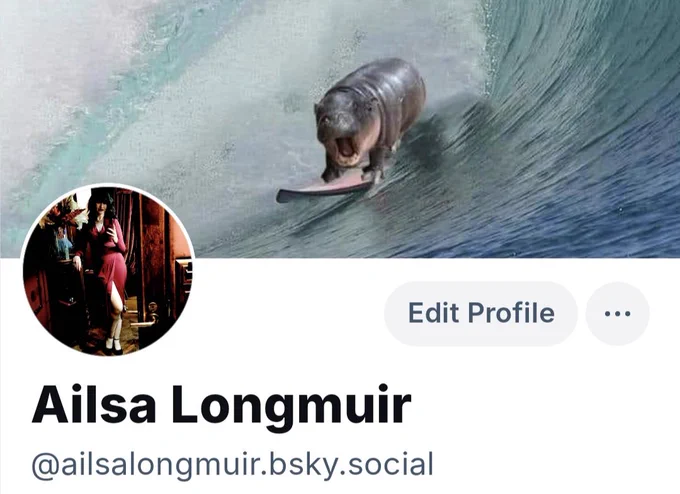 @ailsalongmuir.bsky.social