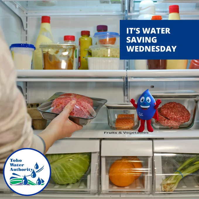 It's Water Saving Wednesday! Woman puts a container of ground beef in open refrigerator.