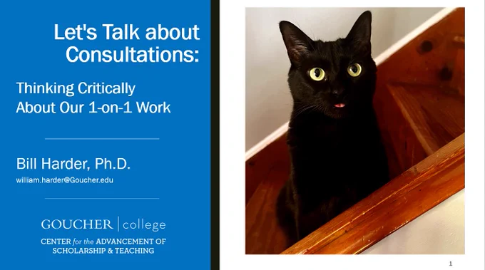 A powerpoint slide showing the author's information, the title "Let's Talk About Consultations: Thinking Critically About our 1-on-1 Work" and a picture of a beautiful black cat with a very tasteful amount of tongue sticking out of her mouth (no pun intended). 