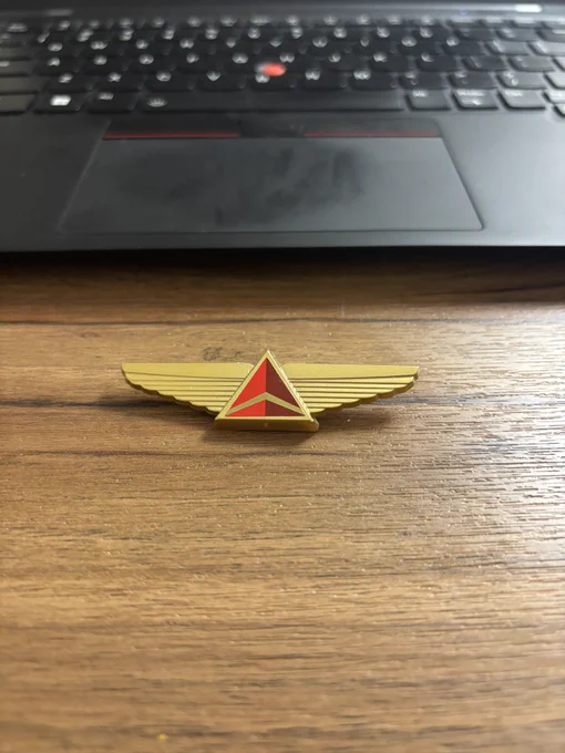 Delta flight wings