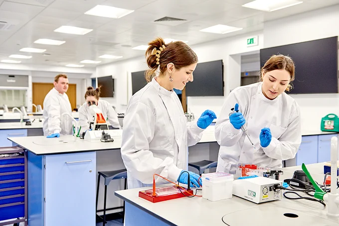 Students working in the Biomedical Sciences lab at LBU.