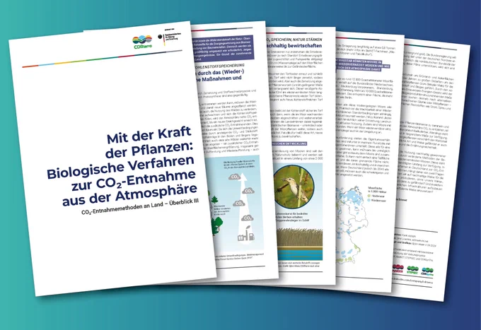 CDRterra-Factsheet zu biologischen CDR-Methoden