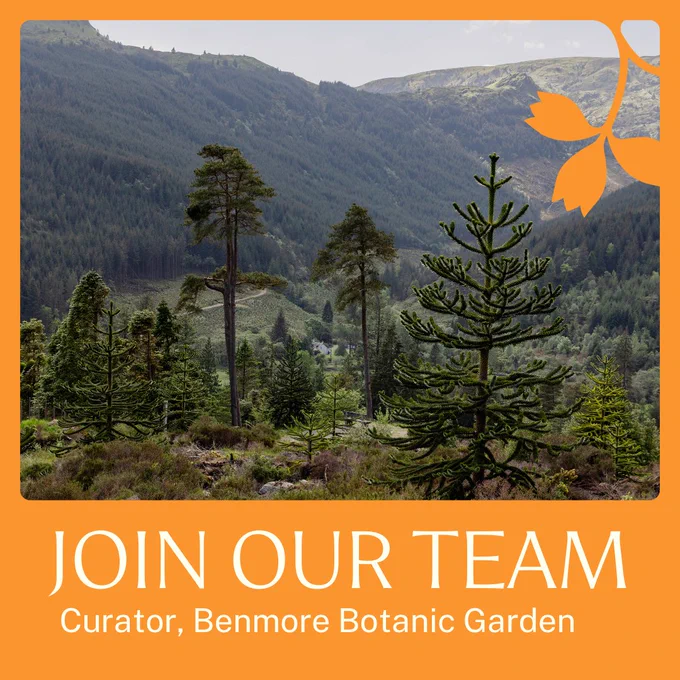 A photo of tree-covered mountains in the background and a variety of trees in the foreground. Around the photo is an orange frame, and text at the bottom which reads 'Join our team. Curator, Benmore Botanic Garden'.