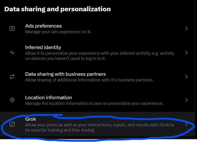 The last option under the "Data sharing and personalization" tab is called Grok - this is circled in the image above