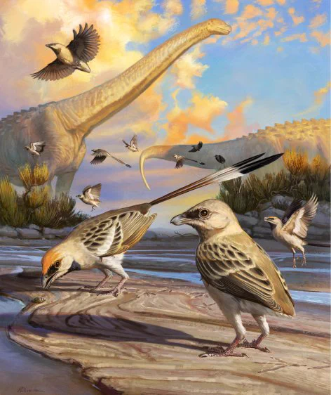 Reconstruction of Navaornis hestiae in its 80 million-year-old environment. Copyright owned by Julia d’Oliveira. Credit: J. d’Oliveira, julia_d.oliveira@hotmail.com.