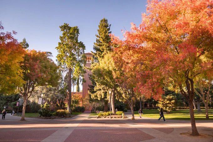 Various fall trees are captured near Trinity Bell Tower at Chico State.