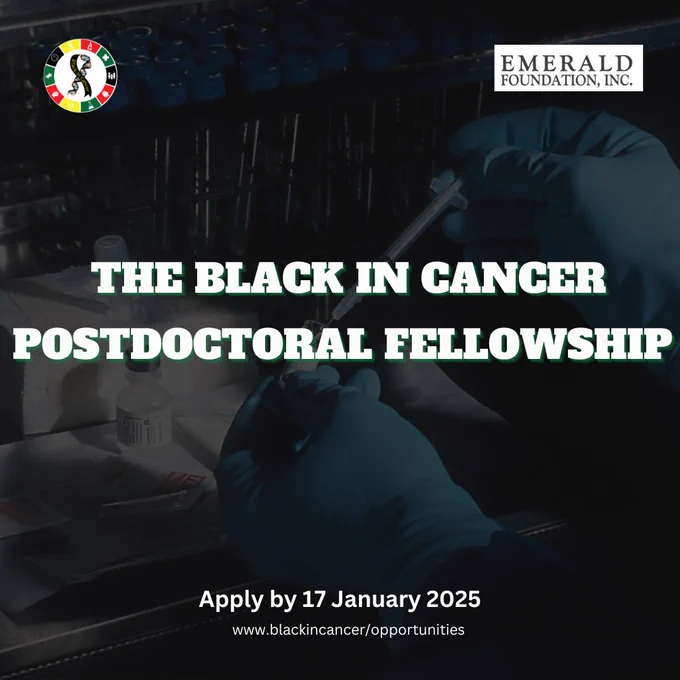 the Black in Cancer postdoctoral fellowship, apply by 17 January 2025
