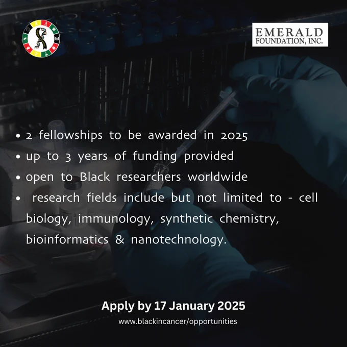 fellowship overview: 2 to be awarded, up to 3 years of funding , open to Black researchers worldwide, overview of example research areas