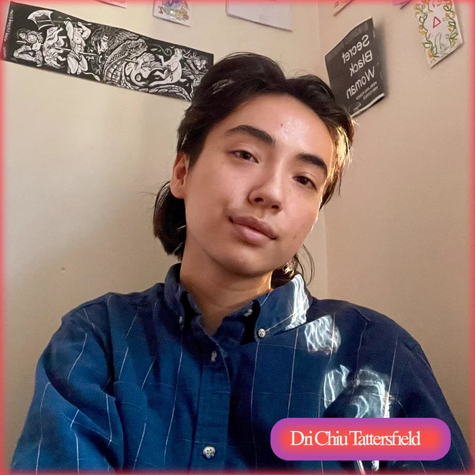 Dri, a biracial Taiwanese & white person with short dark hair and light skin, wears a blue flannel shirt and sits in the corner between two walls that display several zines. 