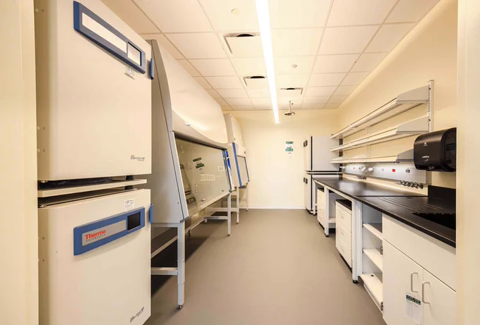 BSL2  lab support room.