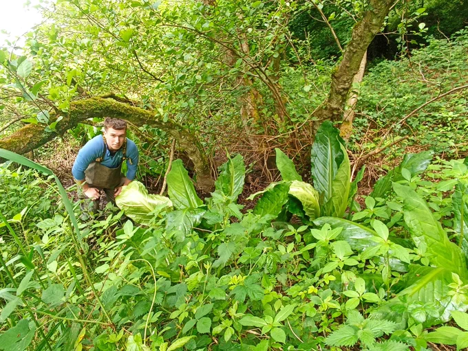 Hidden in the riparian habitat