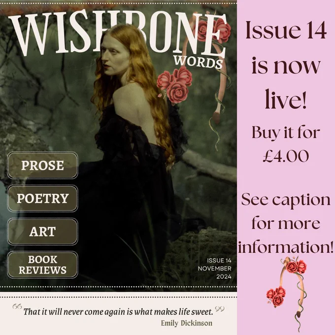 On a pink background, the cover for Wishbone Words Issue 14 takes up two thirds of the graphic, aligned with the left edge. Burgundy text on the right reads "Issue 14 is now live! Buy it for £4.00. See caption for more information!" Under the text is the Wishbone Words logo.