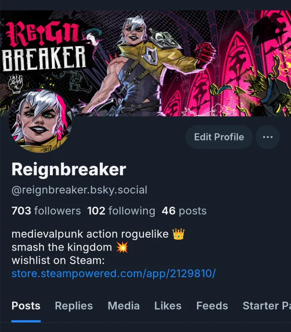 screenshot of reignbreaker account on social media platform