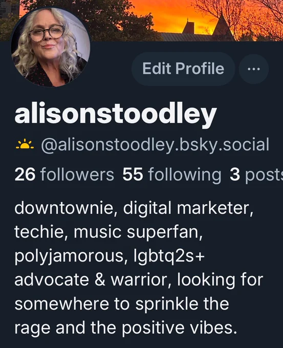 Screenshot of my BlueSky profile, round profile pic of a white woman with long grey hair and glasses, my handle @alisonstoodley.bsky.social , my follower counts, my bio “downtownie, digital marketer, techie, music superfan, polyjamorous, lgbtq2s  advocate & warrior, looking for somewhere to sprinkle the rage and the positive vibes.” and a background image of an intense fiery orange sunset behind the Anglican Cathedral in downtown St.John’s, Newfoundland & Labrador