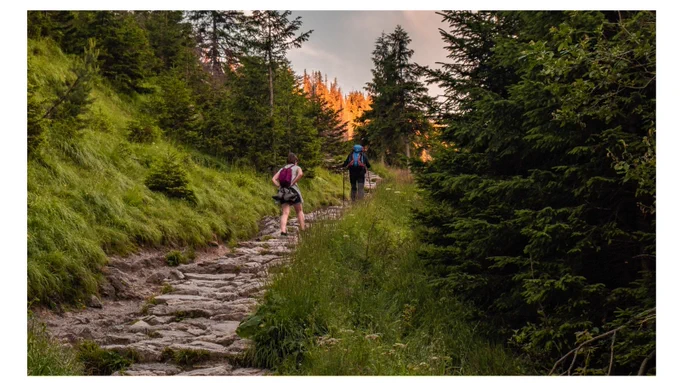Two hikers going up a rocky trail surrounded by evergreen trees