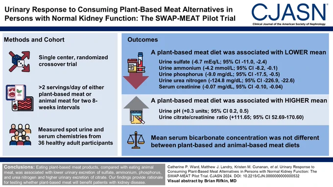 Visual abstract for "Urinary Response to Consuming Plant-Based Meat Alternatives in Persons with Normal Kidney Function: The SWAP-MEAT Pilot Trial."