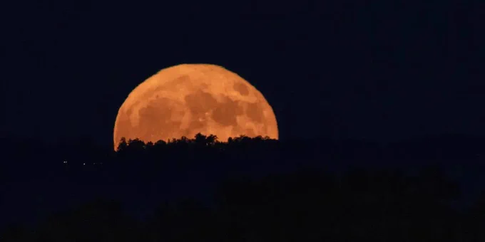 A supermoon rises over a shadowy treeline in Huntsville, Alabama. The large, yellowish moon is partially obscured, but is still the photo's dominating feature. Credit: NASA/Michael DeMocker