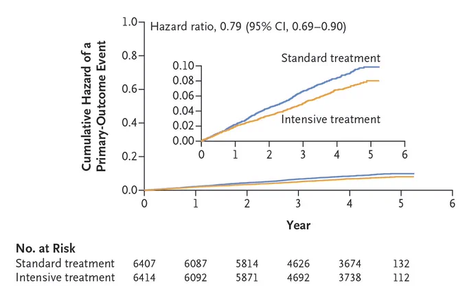Kaplan–Meier curves for the primary outcome.