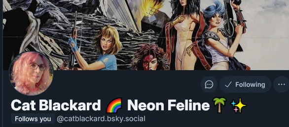 A screenshot of the header for @catblackard.bsky.social