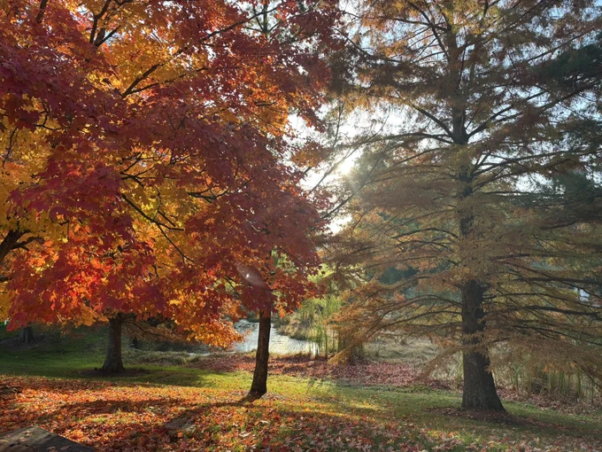 Photo on Miami University campus taken by Grace Simpson. 