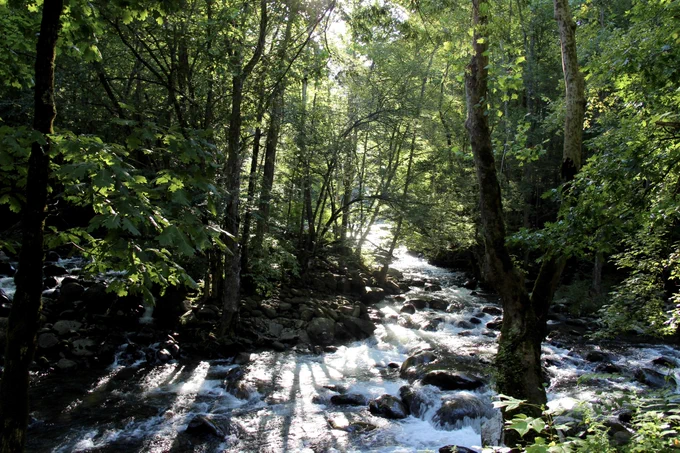 A river in the Great Smoky Mountains National Park. PC Jon Walter