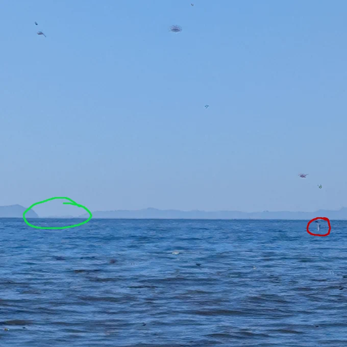 Photo 2, about 10 ft of elevation. the target of my photo is circled in green, the red circle is around a buoy that can also be seen in photo 1