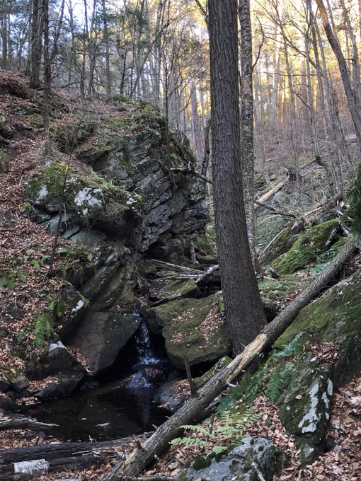 rock face with tree in front of it, the stream running round & through the rocks -- late afternoon sun lights the treetops in the distance