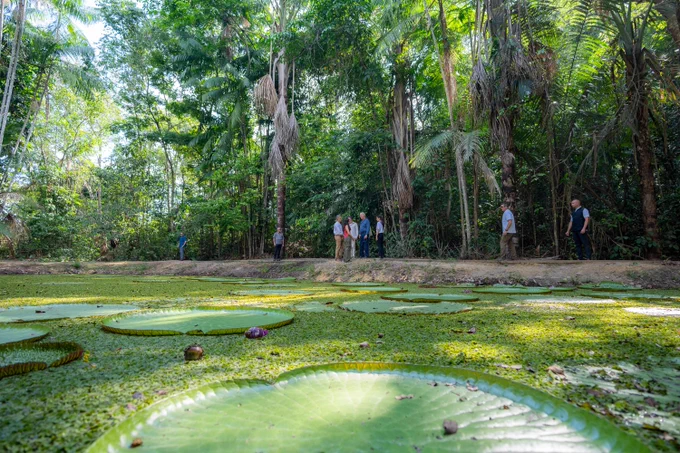 President Biden participates in a tour of Museu da Amazônia.