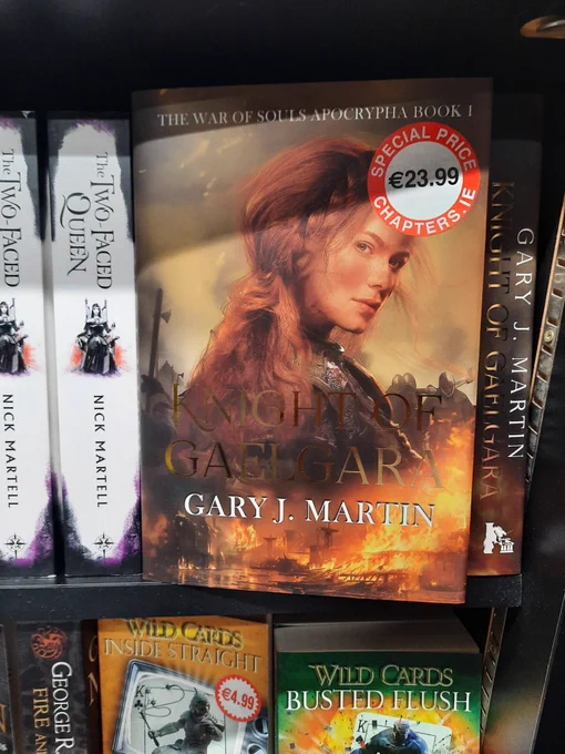 Knight of Gaelgara - Gary J Martin sits on a shelf in Chapters, Dublin. €23.99, hardback.