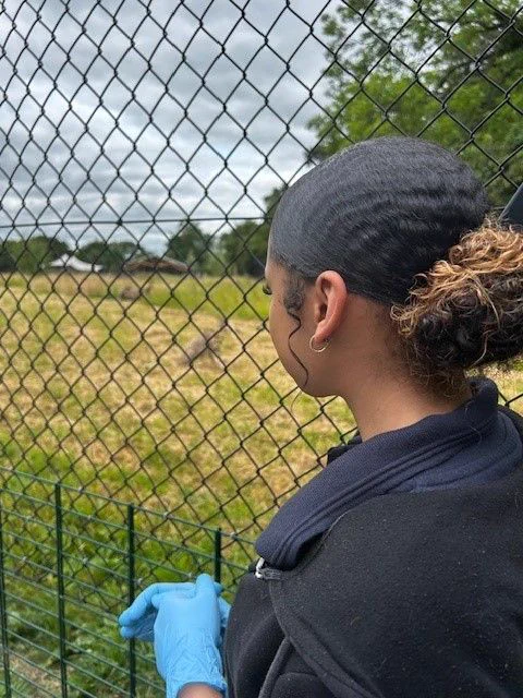 Person wearing gloves and a dark uniform looking through a fence at a grassy area under a cloudy sky.