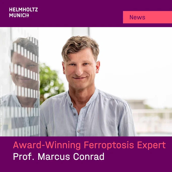 Award-Winning Ferroptosis Expert Prof. Marcus Conrad