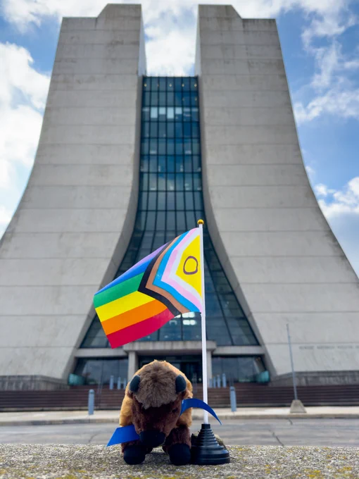 A bison plushie and a Intersex-Inclusive Progress Pride Flag in front of Fermilab's Wilson Hall. 