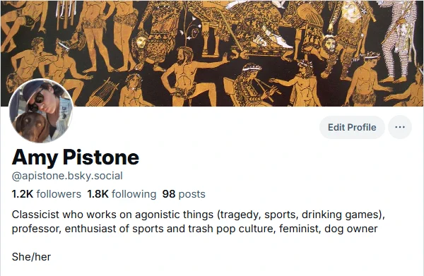 Screenshot of my BlueSky profile with username @apistone.bsky.social
