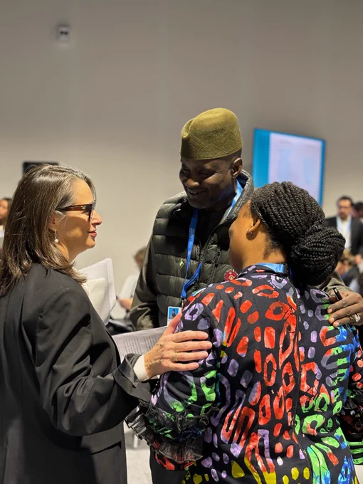 Three delegates are discussing at COP29.