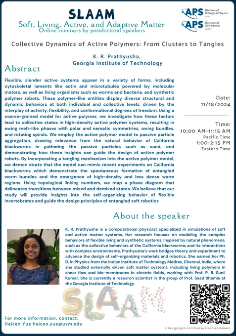 Join us today for a SLAAM seminar, to be given by Dr.  K. R. Prathyusha (Georgia Institute of Technology) at 10 am PT/1 pm ET.

Title - Collective Dynamics of Active Polymers: From Clusters to Tangles