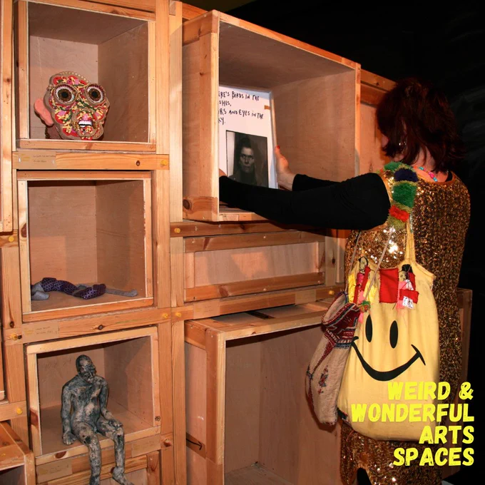 A person browsing the art in the lending library. The work is displayed on wooden boxed shelving.