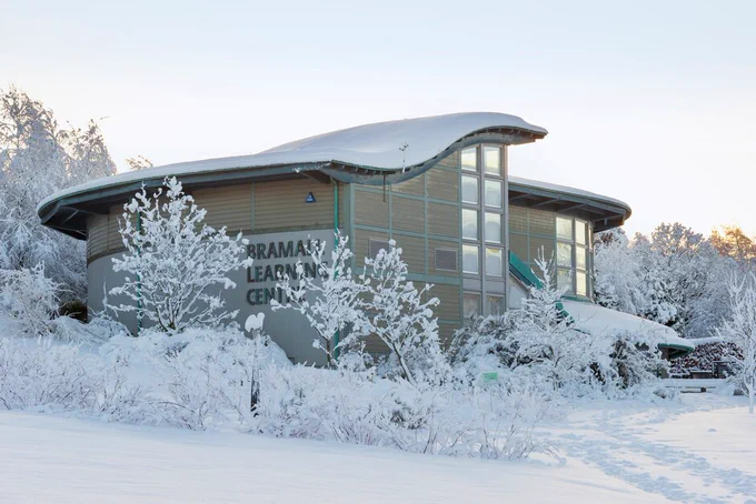 A library building surrounded by trees covered in snow.