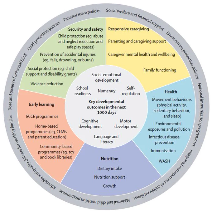 Diagram of developmental outcomes and inputs of nurturing care in the next 1000 days. Copyright: 2024 Elsevier Ltd. All rights reserved.