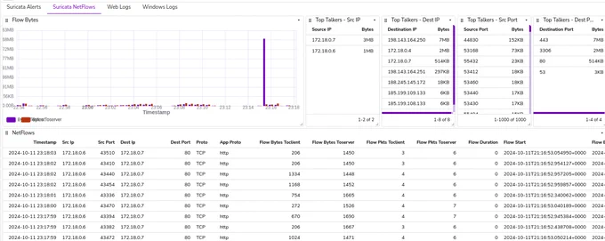 IDS Lab dashboard for netflows from Suricata