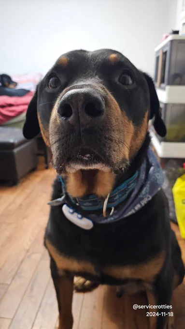 Kuno sitting with a bit of rice on his lip