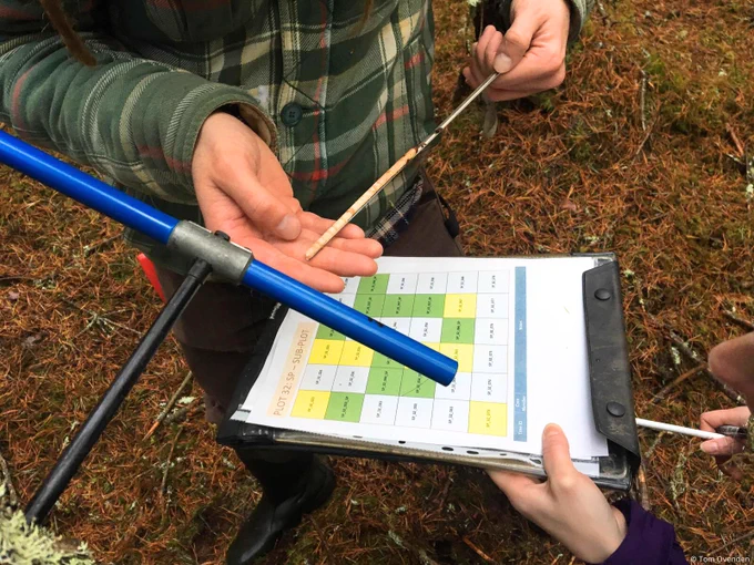 Photo of a person holding out a thin core of a tree trunk with another person holding a clipboard with a graph on it