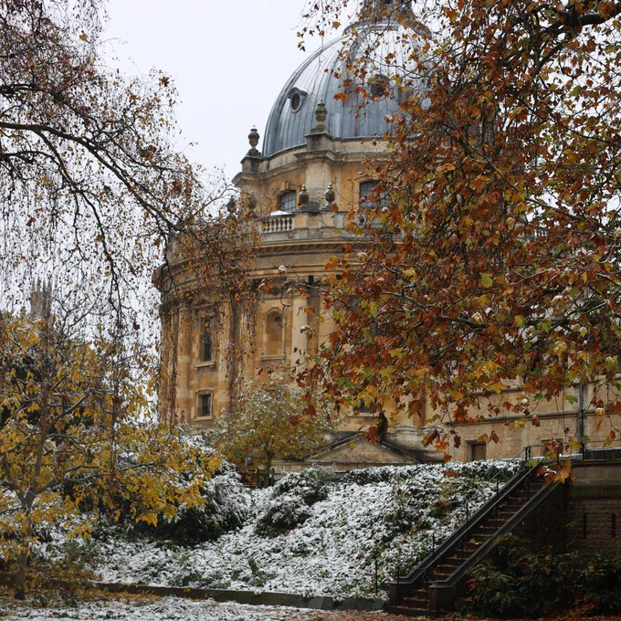 The Fellows Garden